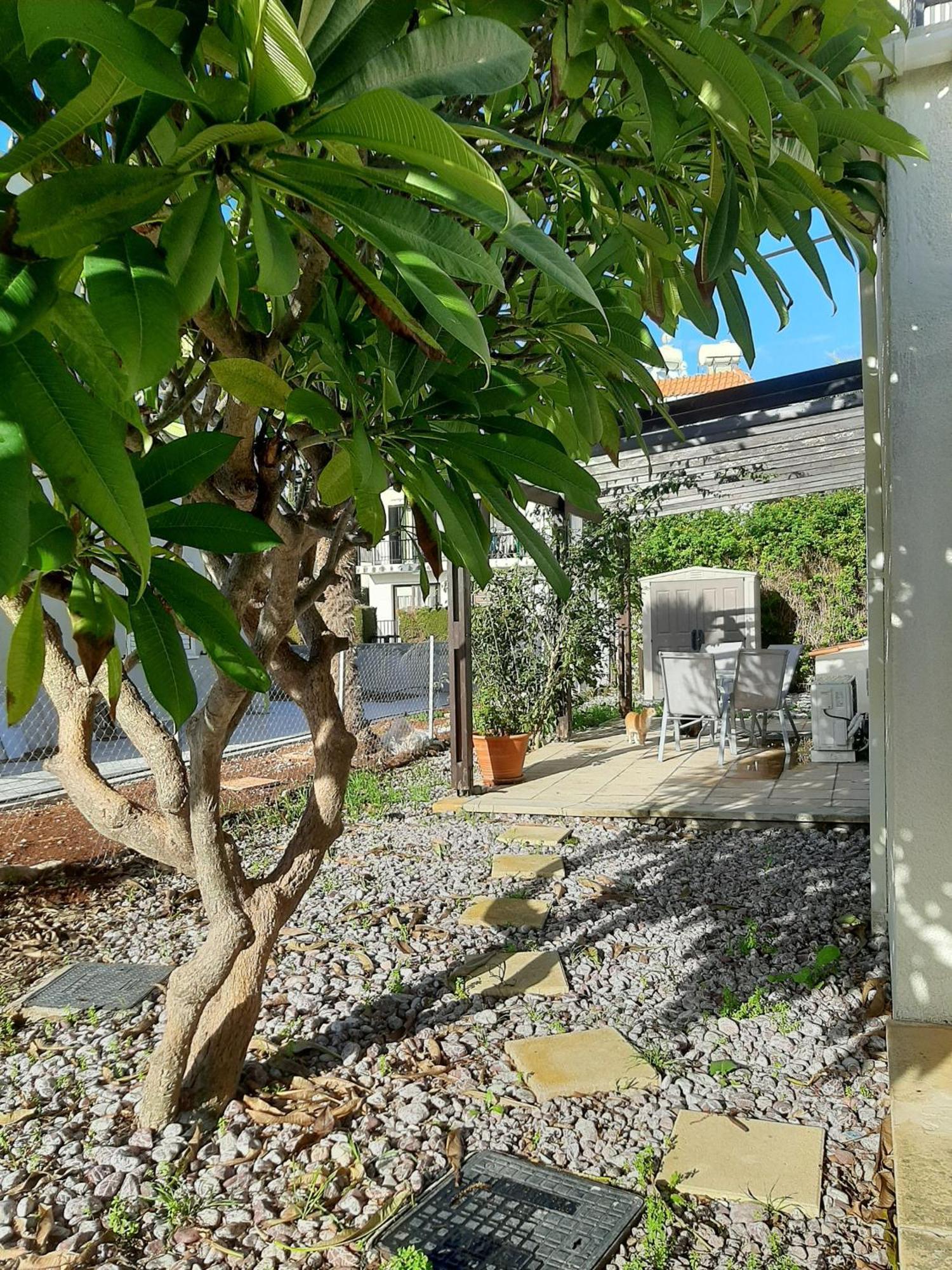 H&O Royal Townhouse In Center Paphos Apartamento Exterior foto